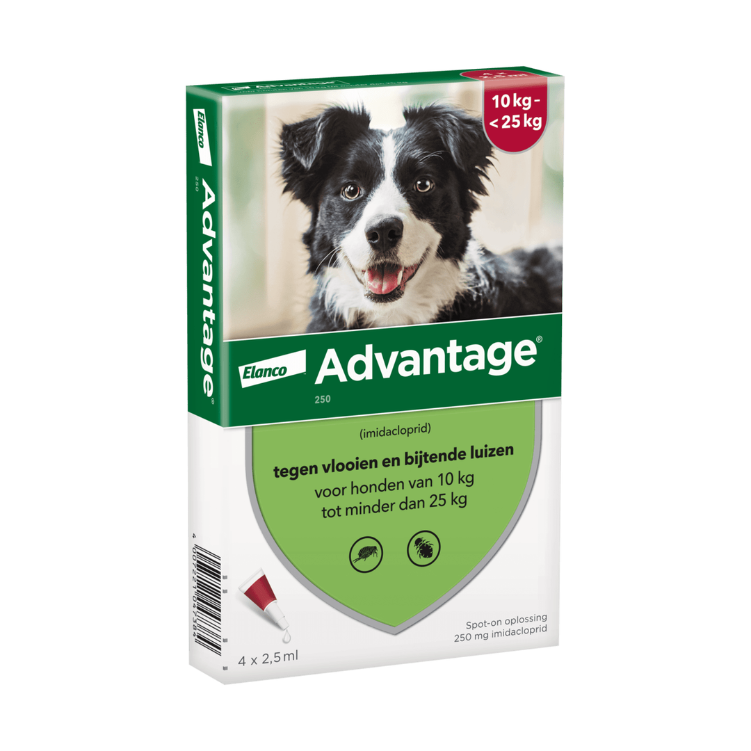 advantage voor honden tussen 10 tot 25 kg