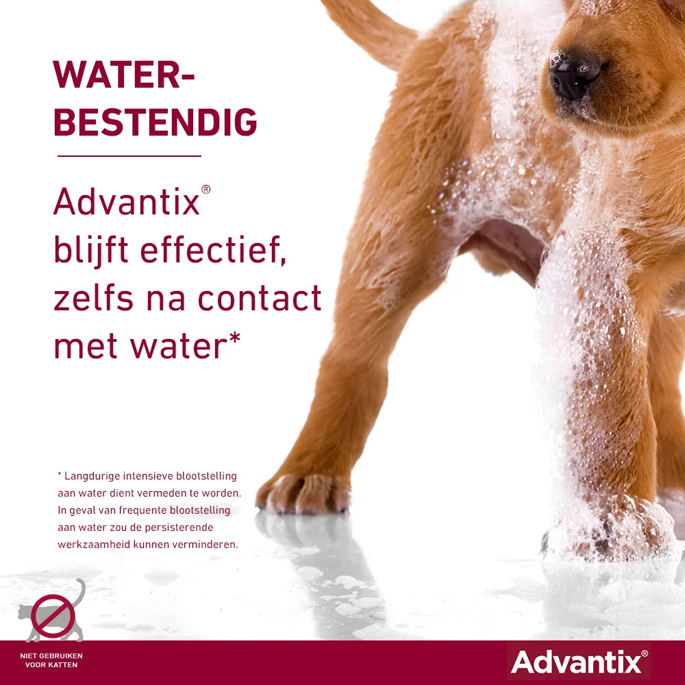 Advantix Anti-Teekmiddel waterbestendig