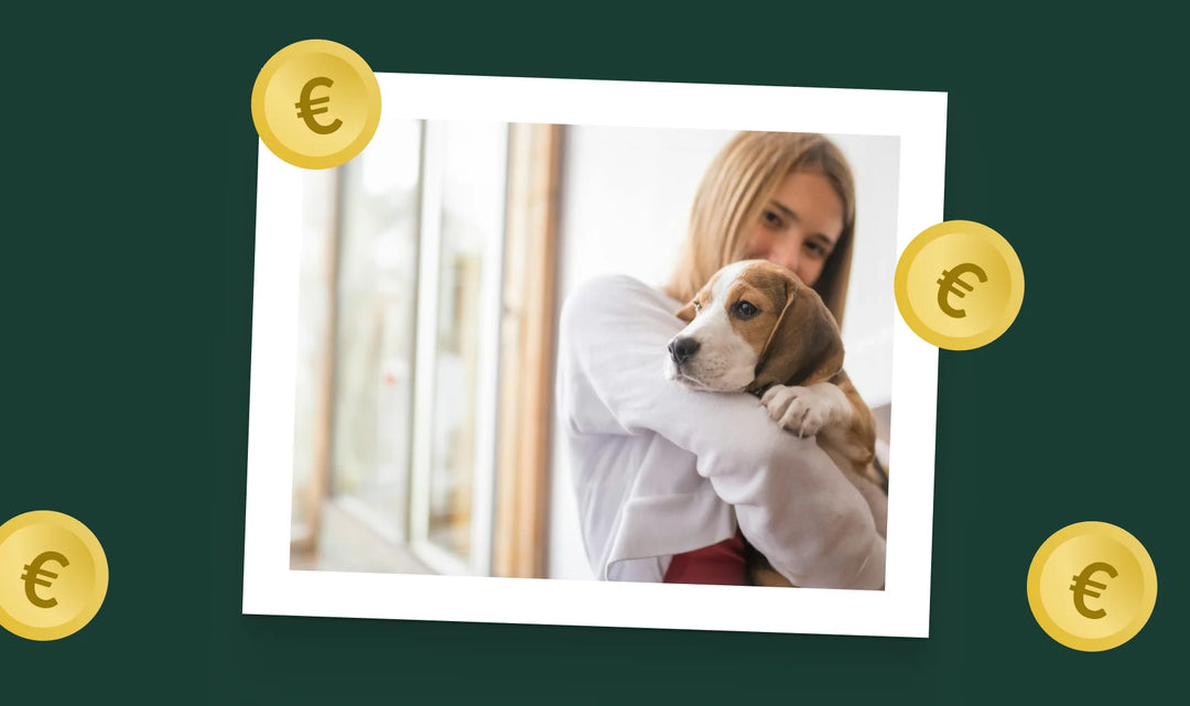 Vrouw met een hond met vliegende euro munten