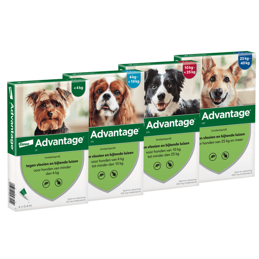 Advantage voor alle soorten honden