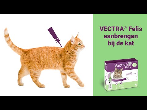 Zo breng je Vectra Felis aan bij je kat uitlegvideo