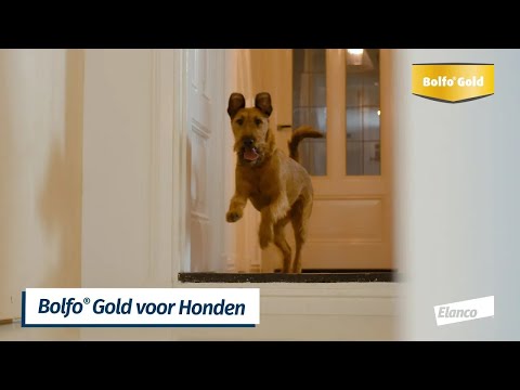 Hoe breng ik de Bolfo Gold pipet aan bij mijn hond video uitleg