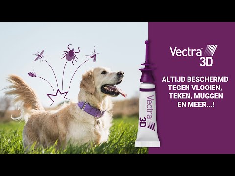 Vectra 3D voor Honden Uitlegvideo