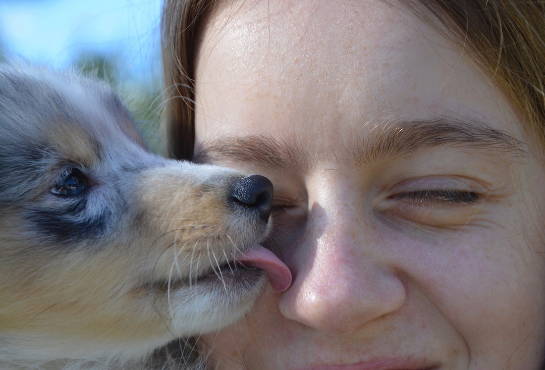 Dit Zijn 6 Lieve Redenen Waarom Honden Je Likken