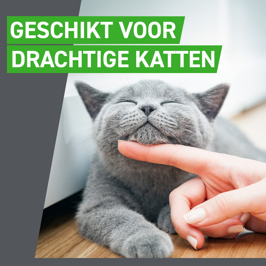 Frontline Combo voor is geschikt voor drachtige katten