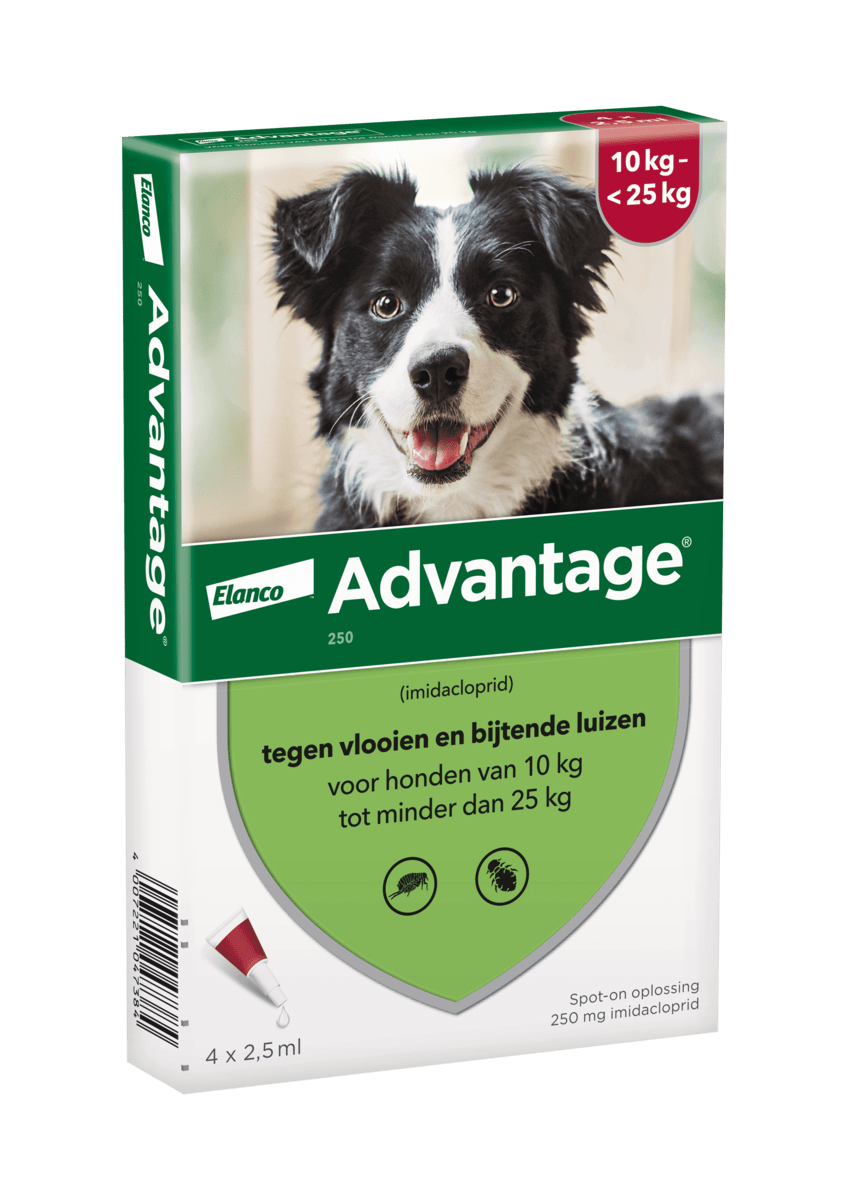 advantage voor honden tussen 10 tot 25 kg