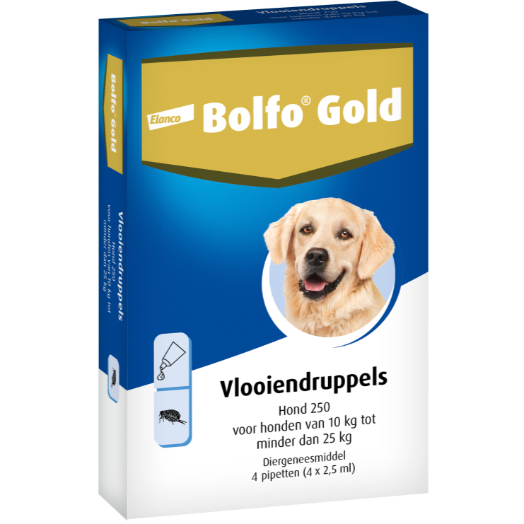 Bolfo Gold Hond 10 tot 25 kg 4 pipet