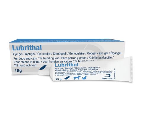 Dechra Lubrithal Ooggel voor Honden en Katten 15 gram