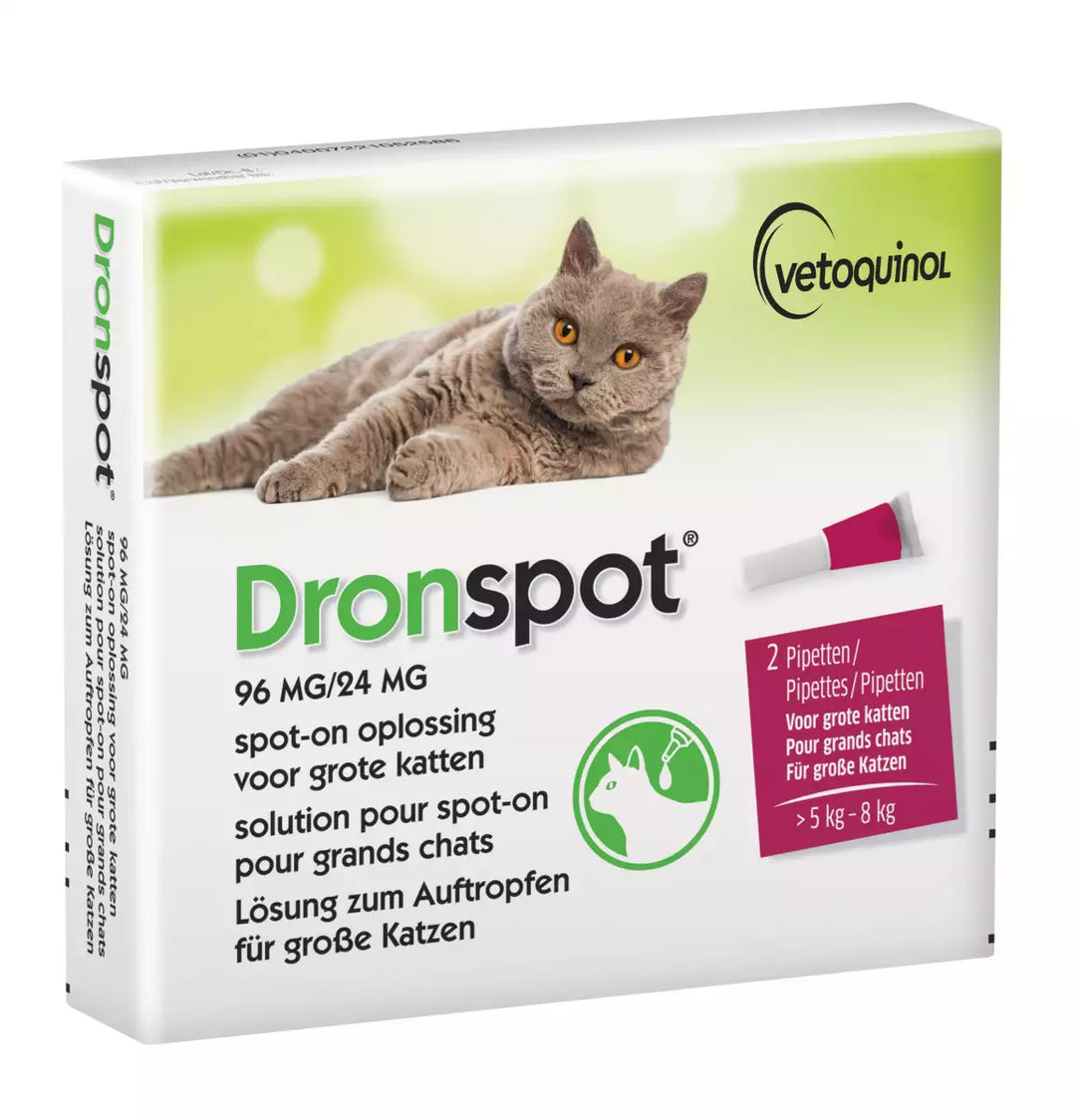 Dronspot Grote Kat voorkant