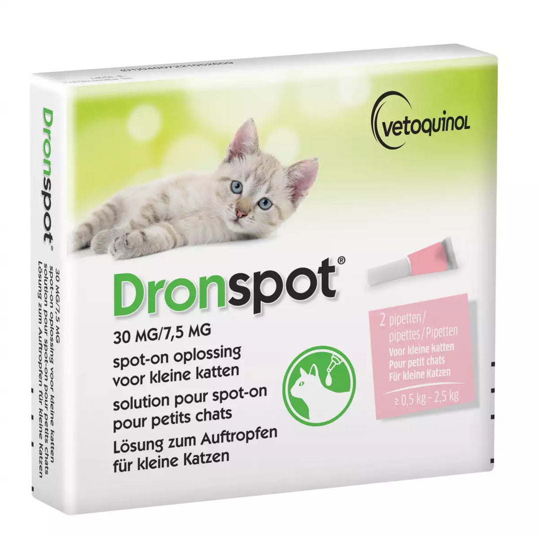 Dronspot Kleine Kat voorkant