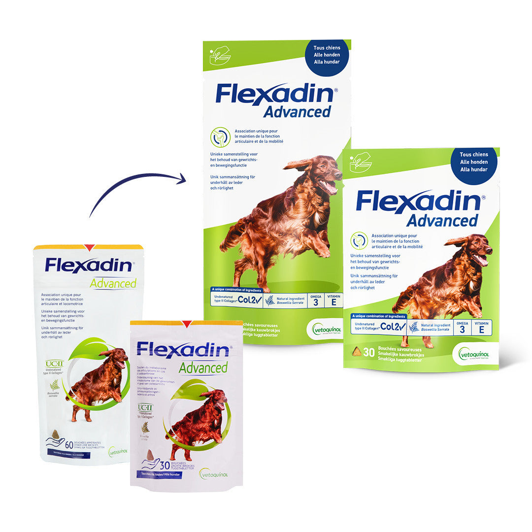 Flexadin Advanced Supplement voor Honden