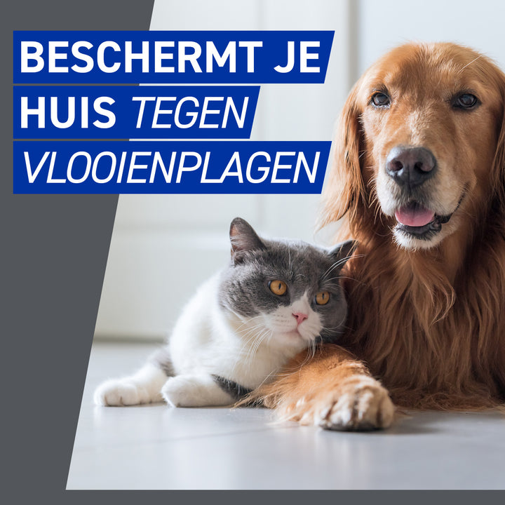 Frontline Homegard Omgevingsspray beschermt tegen vlooienplagen