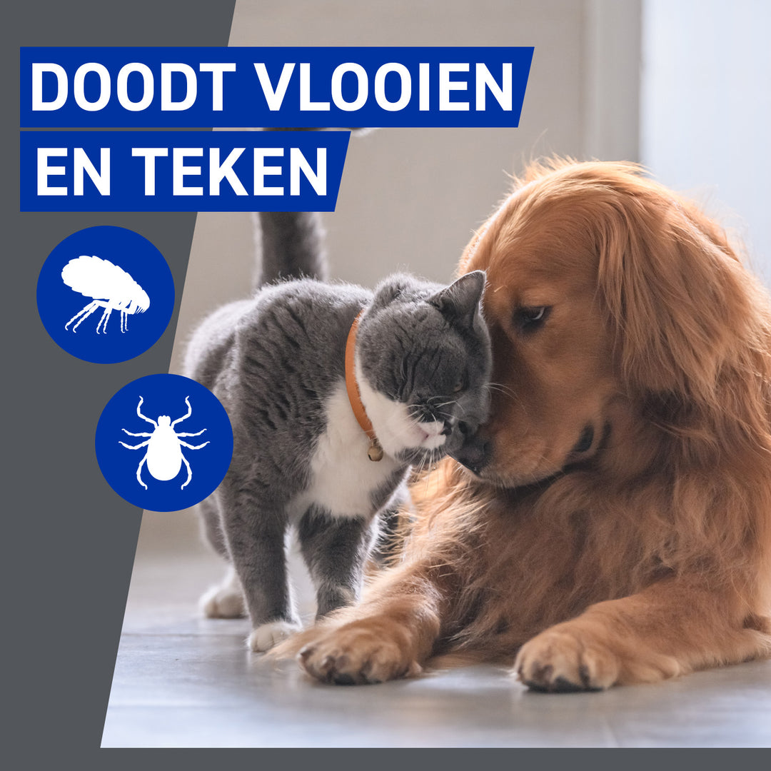 Frontline Homegard Omgevingsspray doodt vlooien en teken