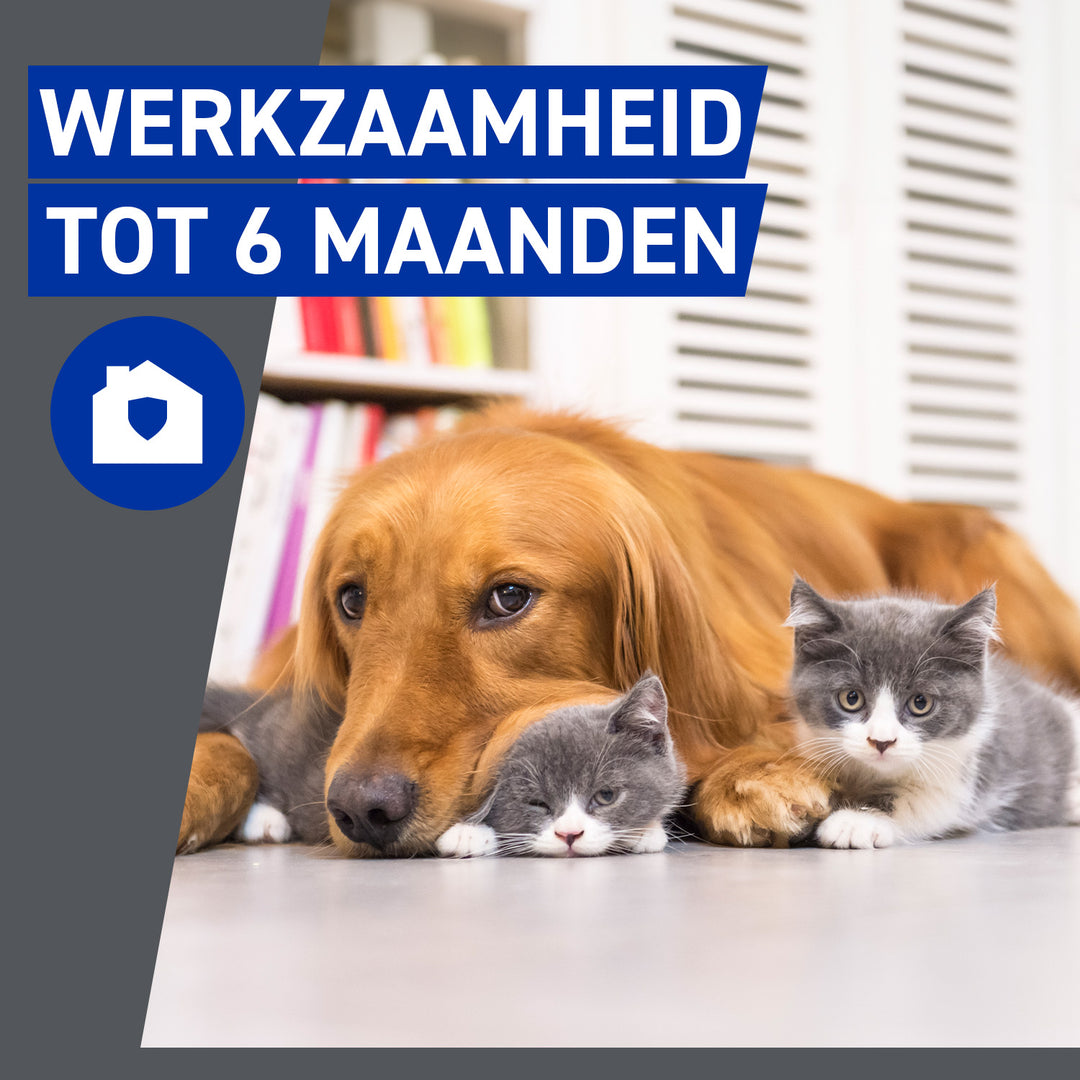 Frontline Homegard Omgevingsspray werkt tot 6 maanden