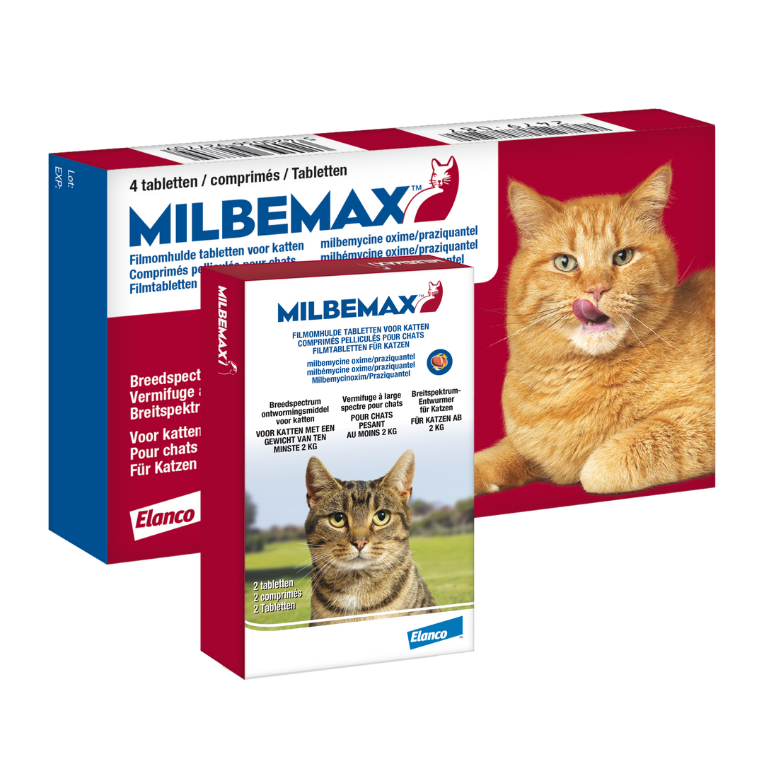 Milbemax Grote Kat Ontwormingstabletten