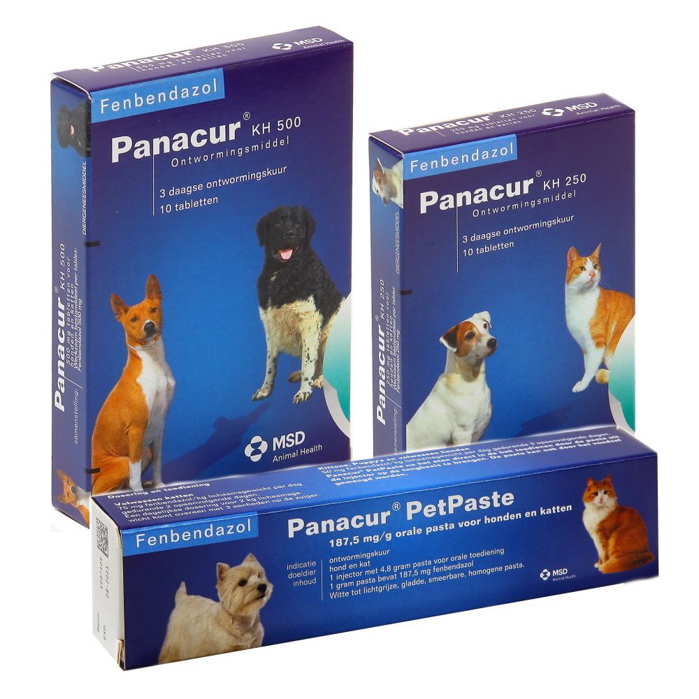 Panacur Ontwormingskuren voor alle honden