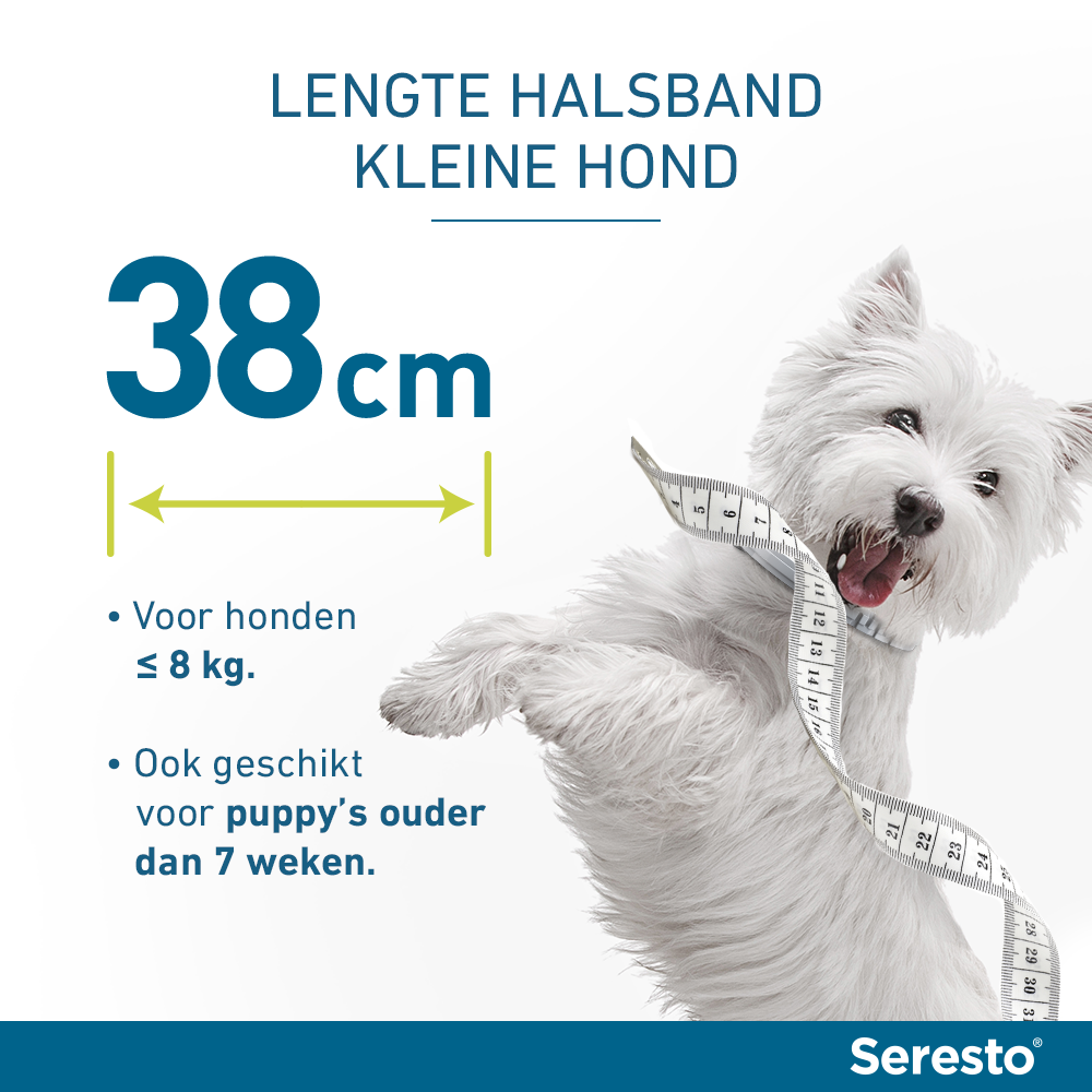 Seresto kleine hond heeft een lengte tot 38 cm