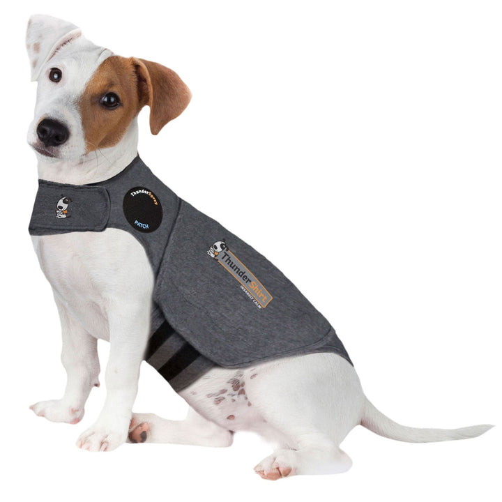 Thundershirt Kalmerend Vest voor Honden bij een Terrier, maat S