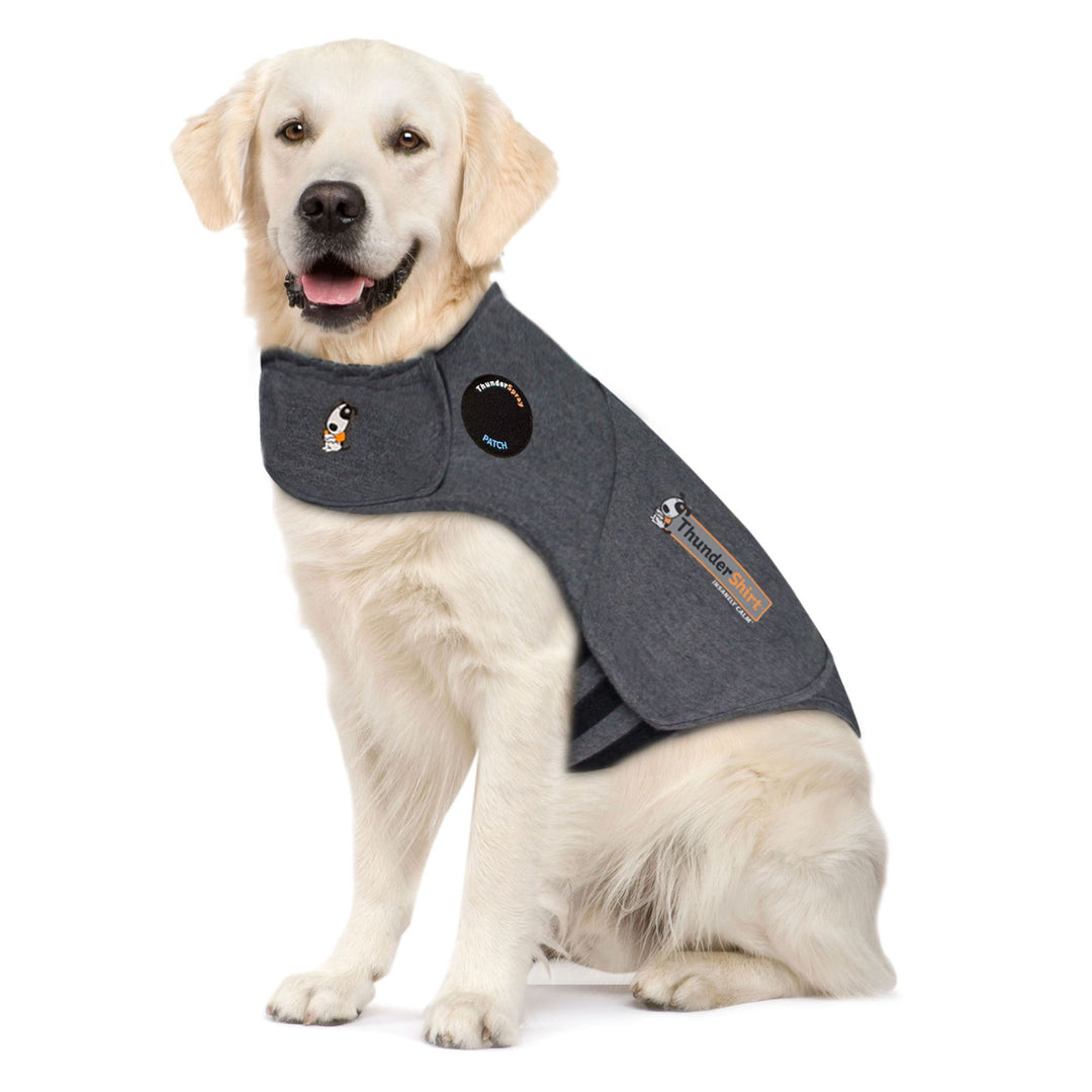 Thundershirt Kalmerend Vest bij een labrador, maat M