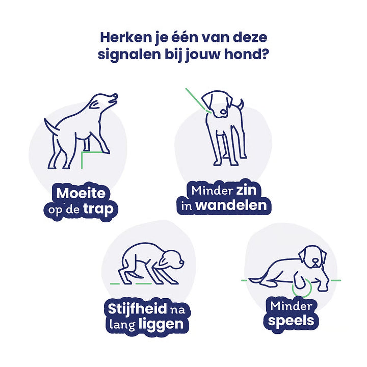 Flexadin signalen bij je hond