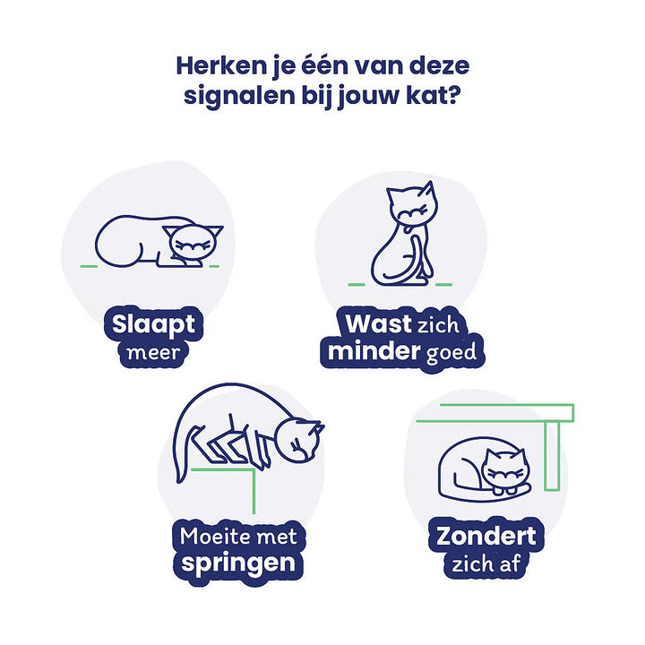 Flexadin signalen bij je kat