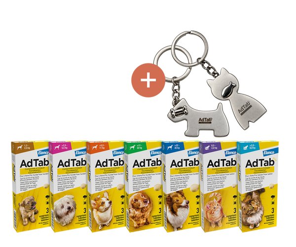 AdTab voor honden en katten met AdTab sleutelhanger