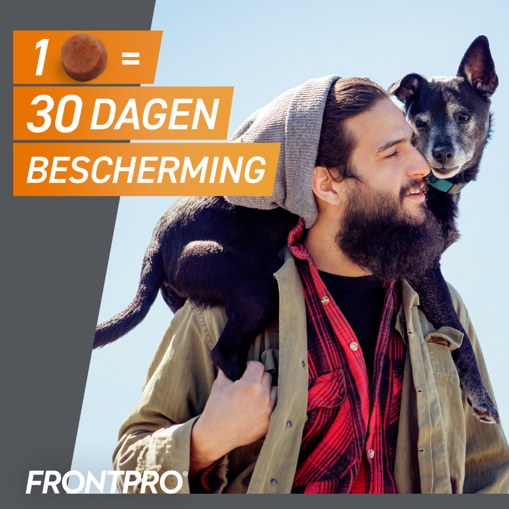 Frontpro 30 dagen bescherming per tablet