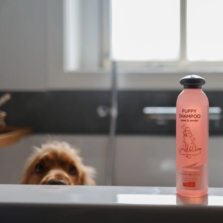 Greenfields Puppy Shampoo met een hond