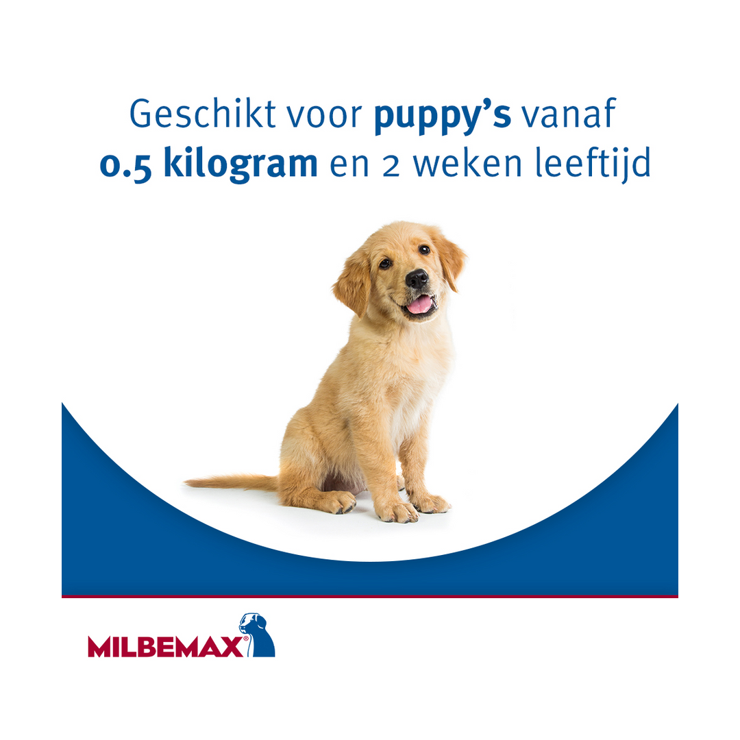 Milbemax Hond voor puppy's vanaf 2 weken