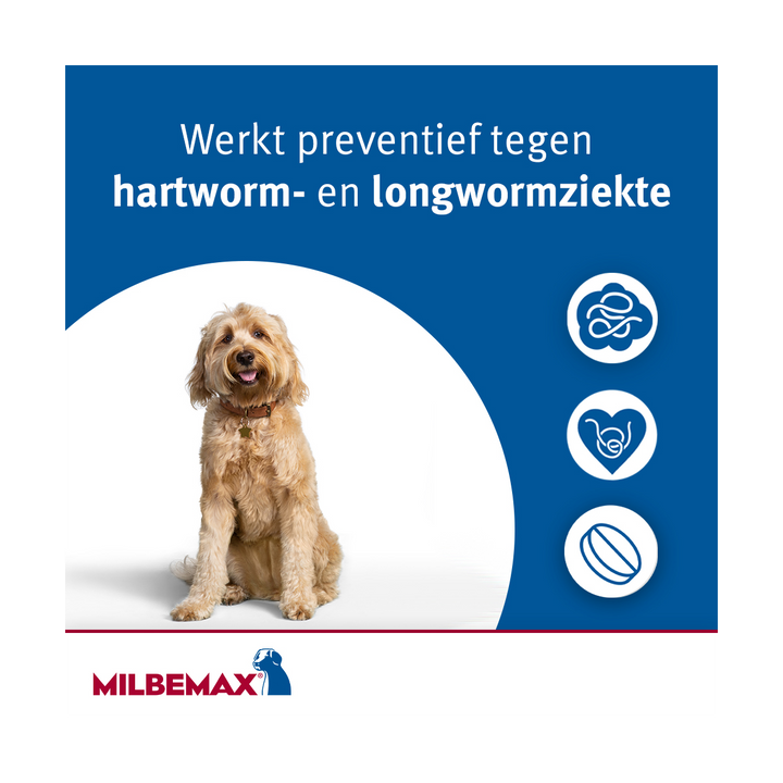 Milbemax Hond werkt preventief tegen hartwormen en longwormenziekte