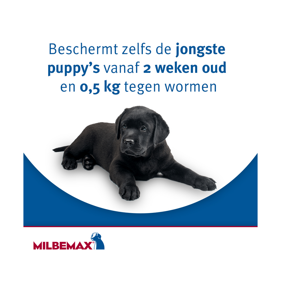 Milbemax Hond puppy ontwormen