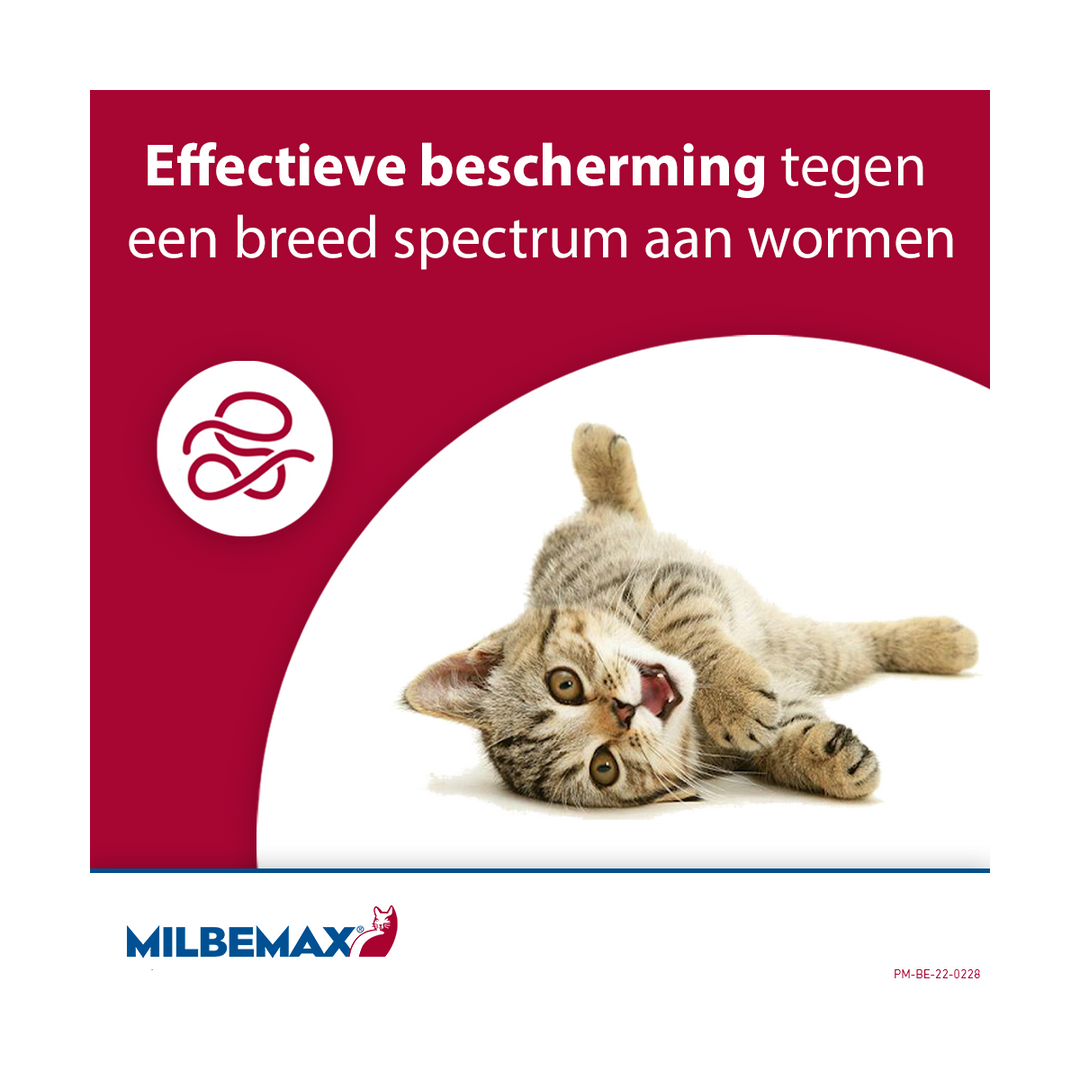 Milbemax Kat breedspectrum bescherming tegen wormen