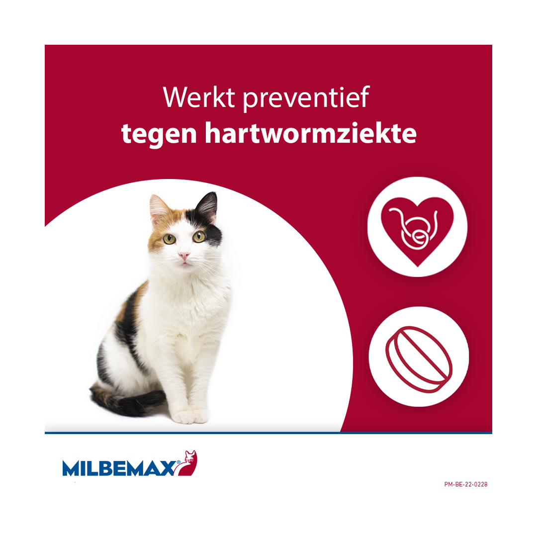 Milbemax Kat werkt tegen hartwormziekte