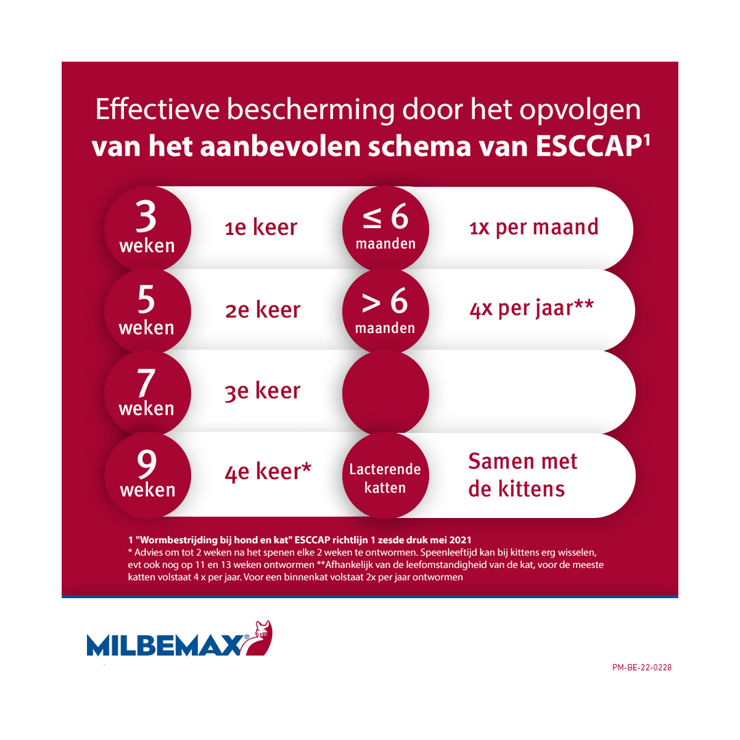 Milbemax Kat schema ontwormen