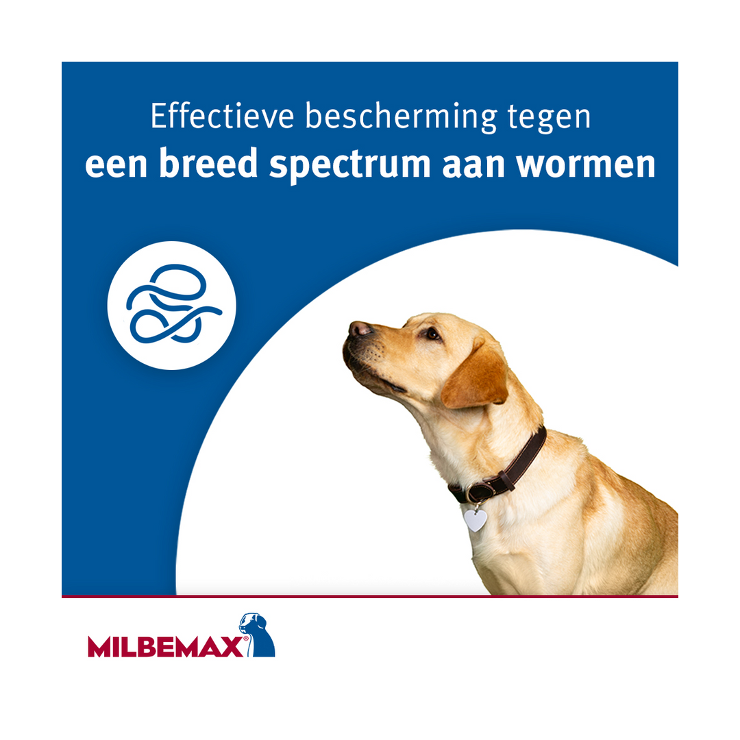 Milbemax Kauwtablet breedspectrum bescherming tegen wormen