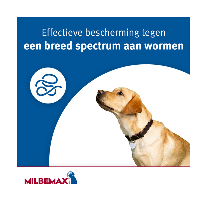 Milbemax Kauwtablet breedspectrum bescherming tegen wormen