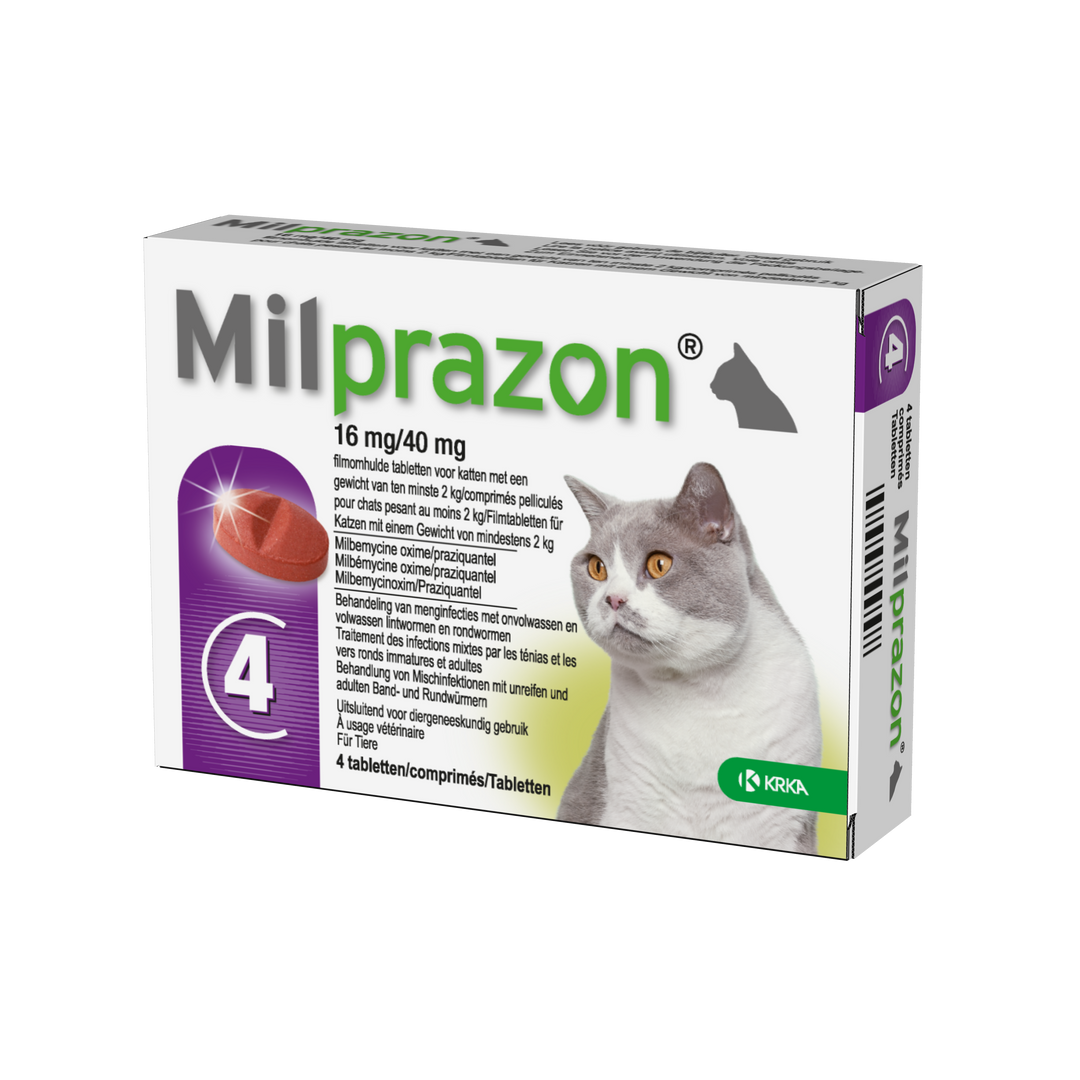 Milprazon Grote Kat 4/10 mg 4 tabletten