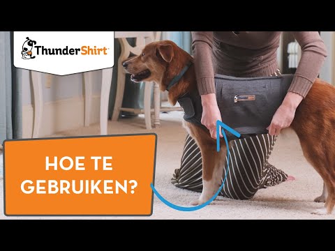 Thundershirt Uitleg Video