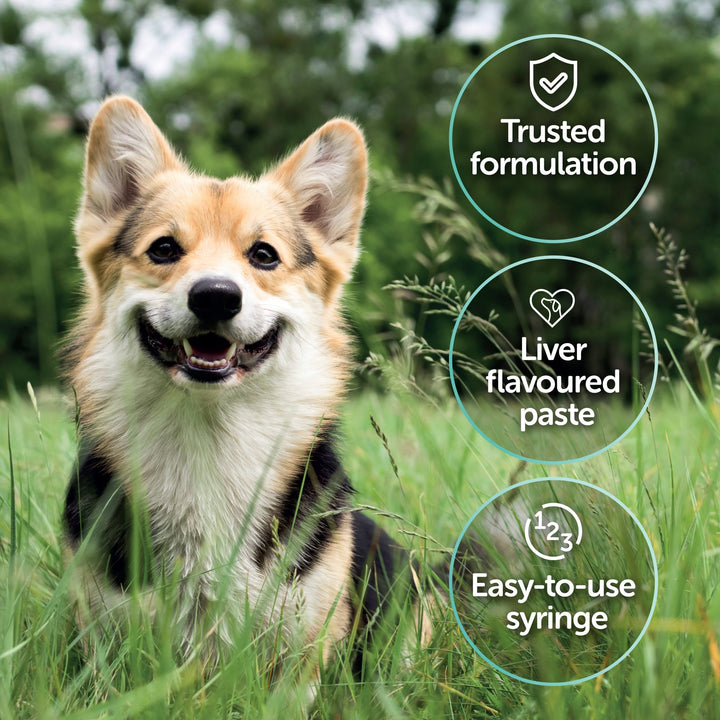 Protexin Pro Kolin voor Honden pasta met leversmaak