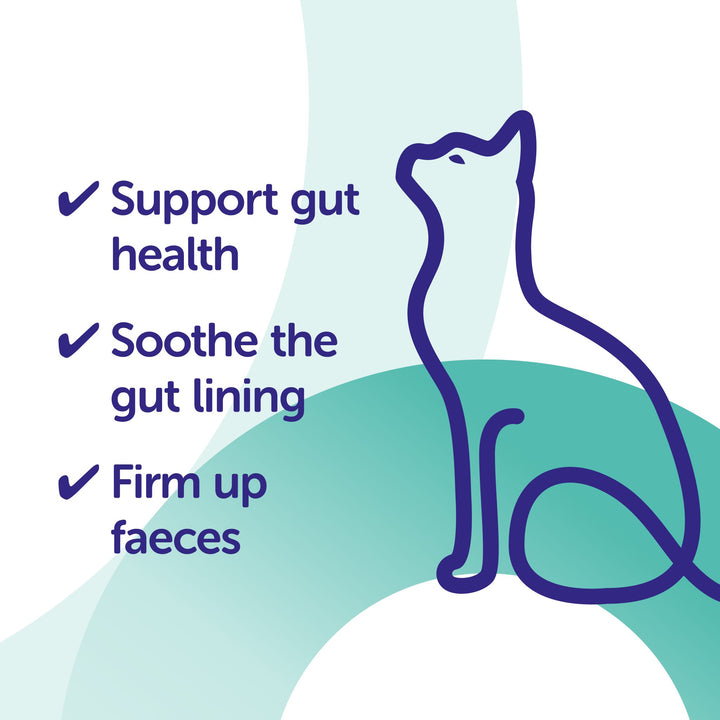 Protexin Pro-Kolin voor Katten ondersteunt de darmen