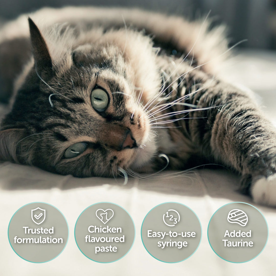 Protexin Pro-Kolin voor Katten met kipsmaak