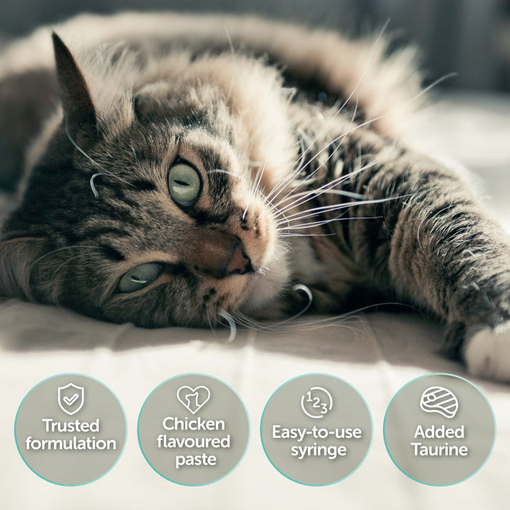 Protexin Pro-Kolin voor Katten met kipsmaak
