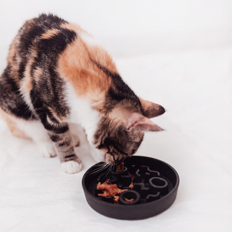 Kat die eet uit een District 70 Anti-Schrok Voerbak Antraciet