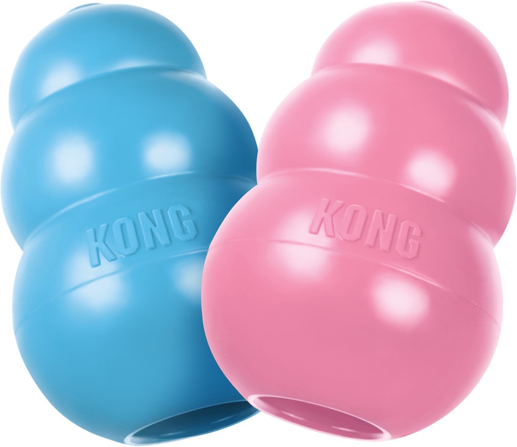 Kong shop puppy l