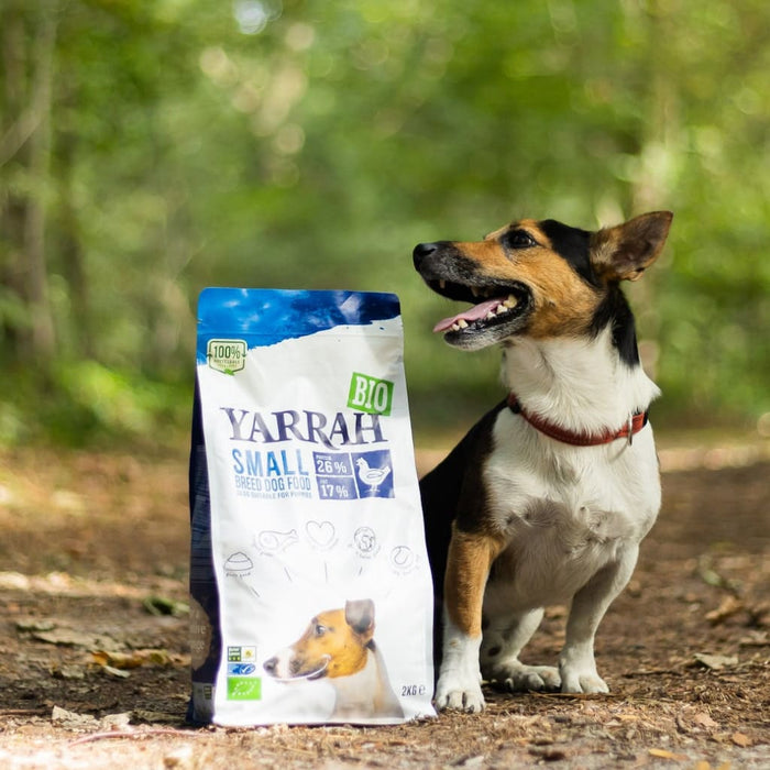 Kleine blije hond met Yarrah Bio Small Breed Hondenbrokken in het bos